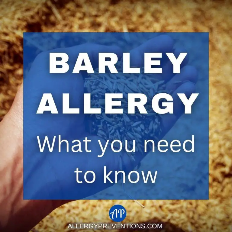 a man with a handful of barley grains with the title "barley allergy what you need to know: