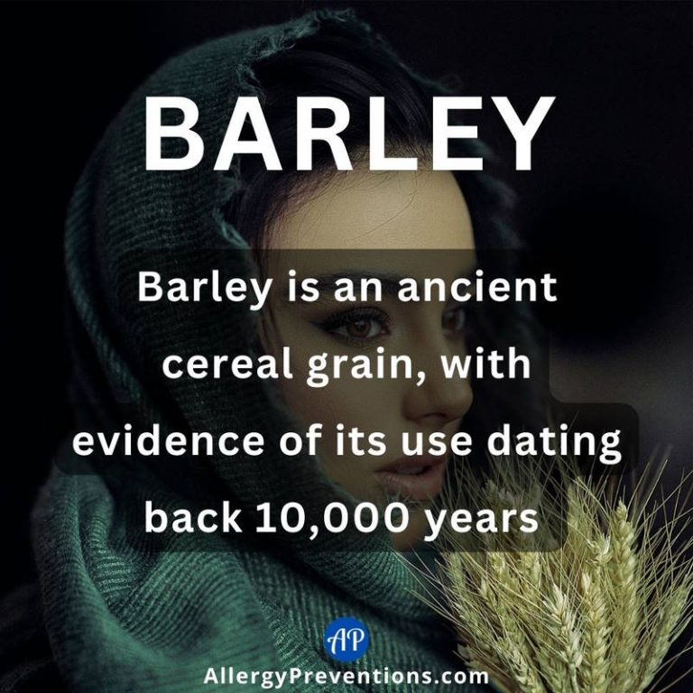 Barley Allergy What You Need to Know Allergy Preventions