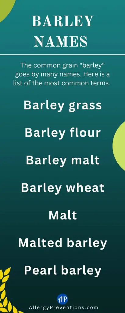 Barley names infographic. The common grain "barley" goes by many names. Here is a list of the most common terms: Barley grass, barley flour, barley malt, barley wheat, malt, malted barley, pearl barley.