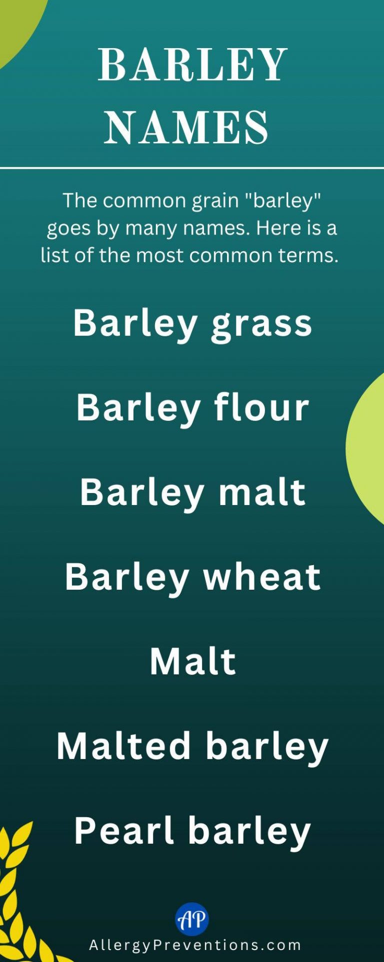 Barley Allergy What You Need to Know Allergy Preventions