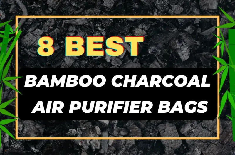  8 Best Bamboo Charcoal Air Purifier Bags