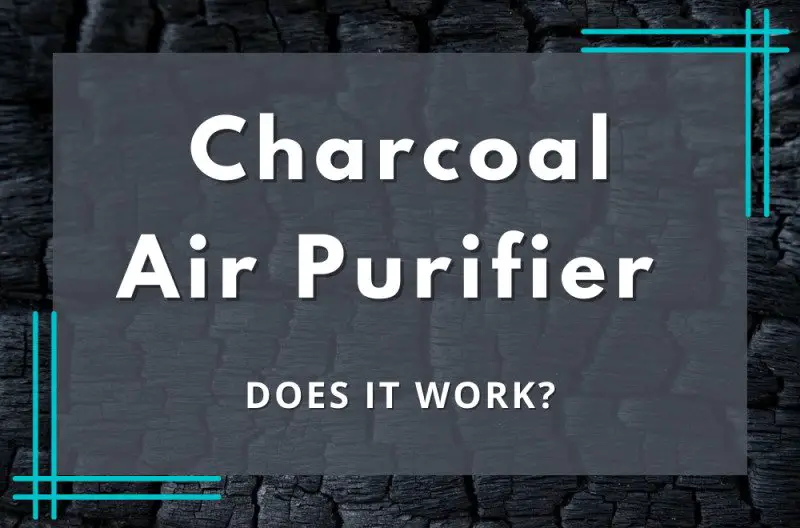 Charcoal Air Purifier: Does it Work?
