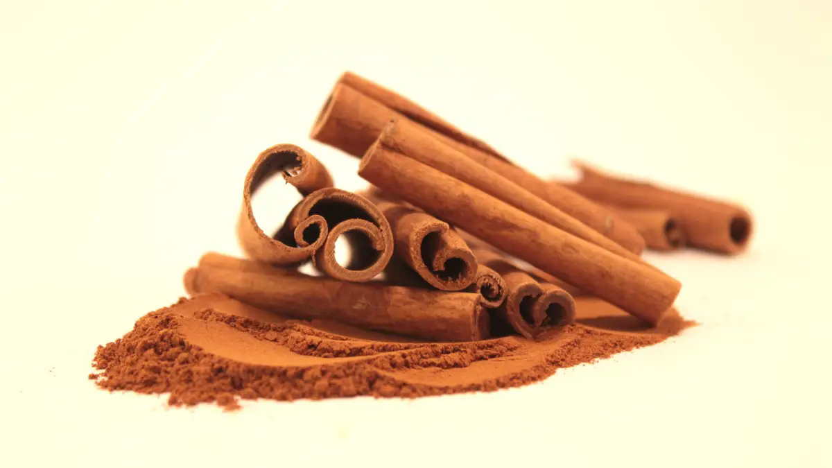 Cinnamon Allergy 101: Symptoms, Causes, and Solutions