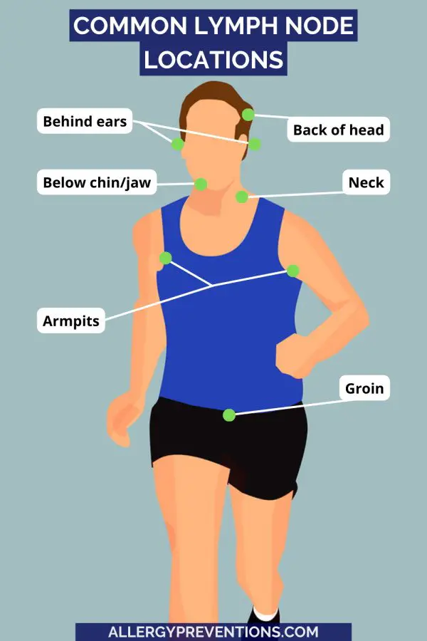 common lymph node locations on the body infographic of a man running. Common Lymph Node Locations Groin ArmpitsNeck Neck Under jaw Below chin Behind the ears Back of the head