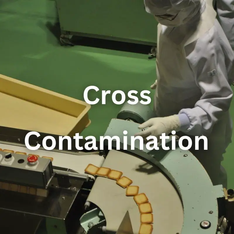 food factory worker watching a conveyor belt with cookies on it. Overlay words say "cross contamination"