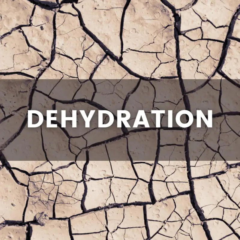 dry, cracked, earth or mud with text that says "dehydration"