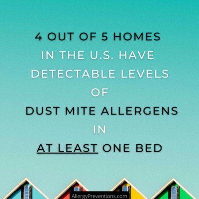 dust-mite-fact-infographic: 4 out of 5 homes in the U.S. have detectable levels of dust mite allergens in at least one bed. Source: https://www.lung.org/clean-air/at-home/indoor-air-pollutants/dust-mites 