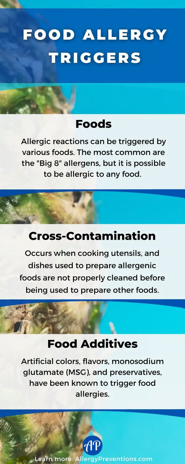 Food allergy triggers infographic explaining that certain foods, cross-contamination, and food additives can all trigger allergic reactions.
