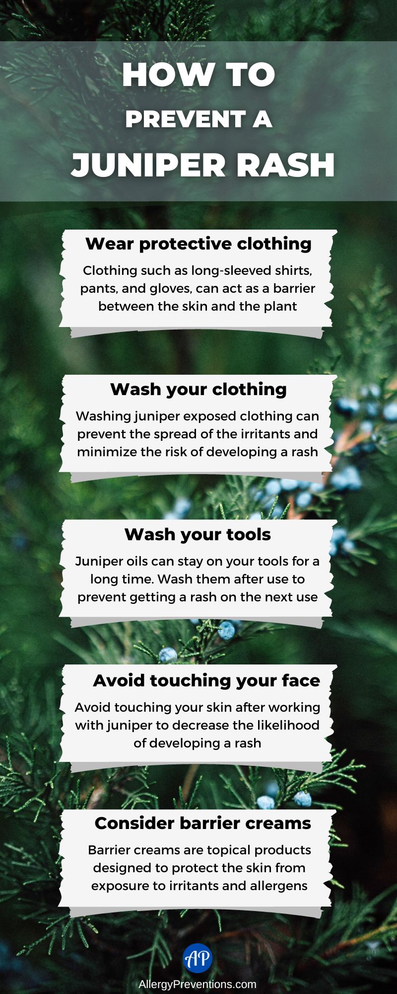 How to prevent a juniper rash infographic. To prevent a juniper tree rash: Wear protective clothing, wash your clothing, wash your tools, avoid touching your face, and consider using barrier creams.