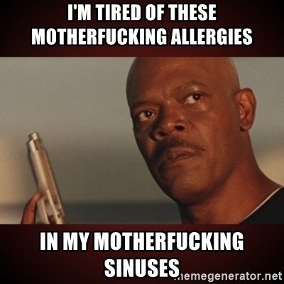 Samuel L. Jackson allergies meme. “I’m tired of these motherfucking allergies, in my motherfucking sinuses.” 