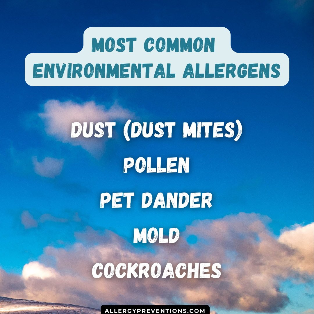 most-common-environmental-allergens-infographic:Dust (dust mites) Pollen Pet Dander Mold Cockroaches