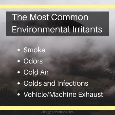 most-common-environmental-irritants-infographic-smoke-odors-cold air-colds and infections-vehicle/machine exhaust
