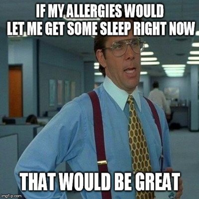 allergies Office Space meme. The boss of Office Space stated: If my allergies would let me get some sleep right now, that would be great. 