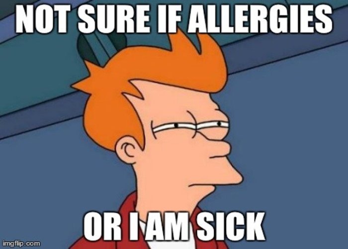 allergies meme of futurama character with squinted eyes. Caption: Not sure if allergies or I am sick.