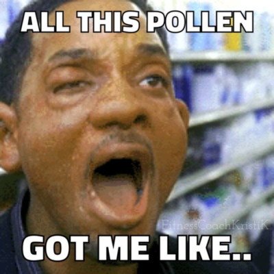 Will Smith screaming with swollen eyes, ears, and nose meme. Caption: All this pollen got me like 