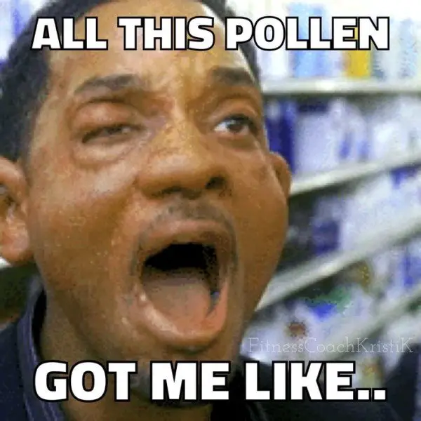 Will Smith screaming with swollen eyes, ears, and nose meme. Caption: All this pollen got me like