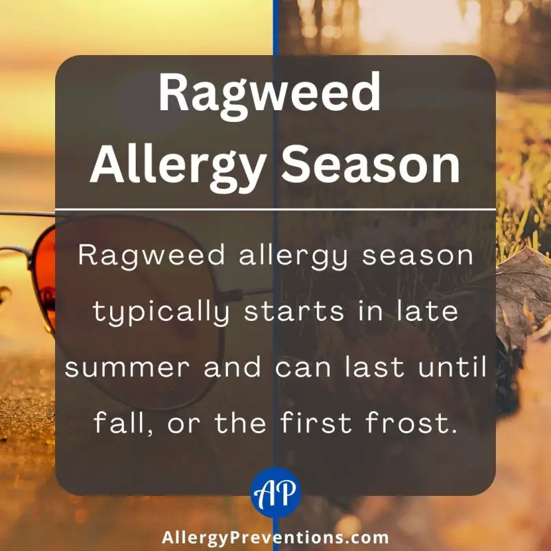 Ragweed allergy season fact image: Image states: Ragweed allergy season typically starts in late summer and can last until fall, or the first frost.