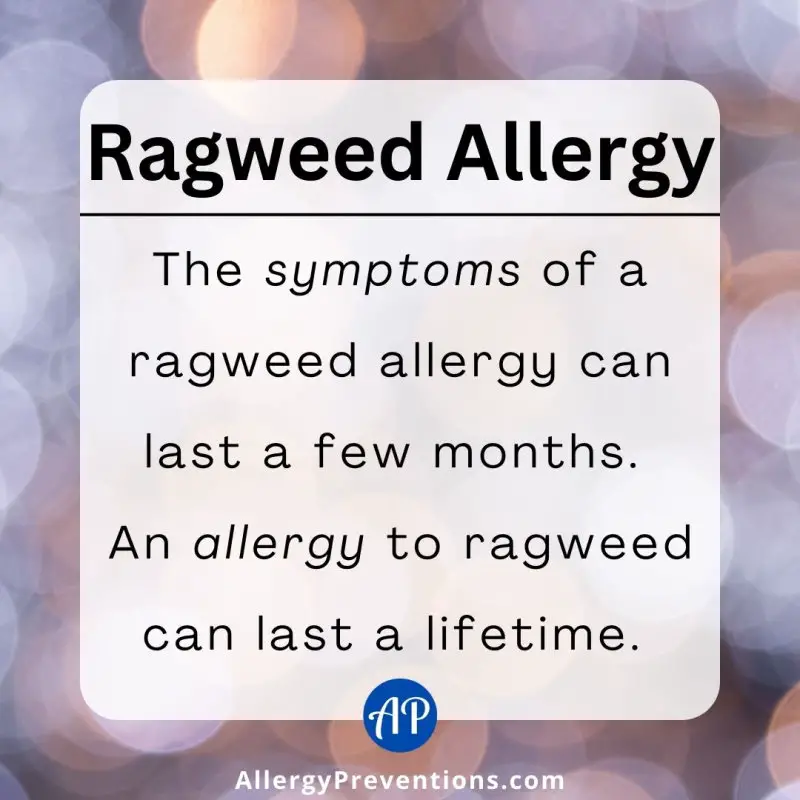Ragweed allergy fact image/ Ragweed Allergy: The symptoms of a ragweed allergy can last a few months. An allergy to ragweed can last a lifetime.