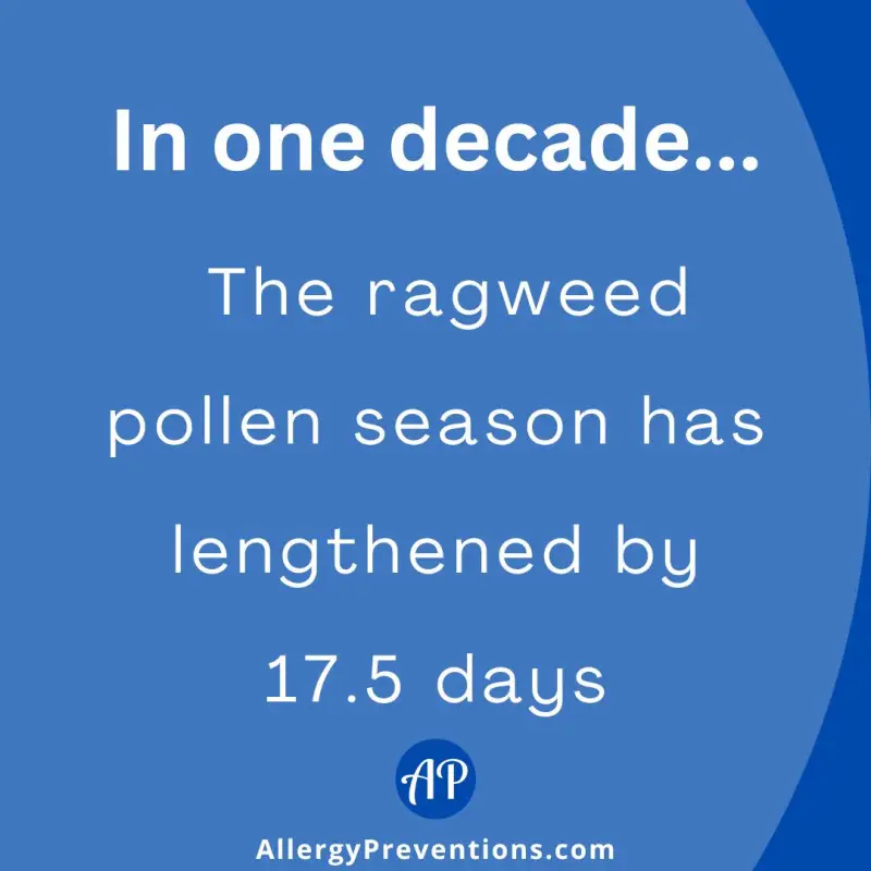 Ragweed season fact infographic. In one decade...The ragweed pollen season has lengthened by 17.5 days