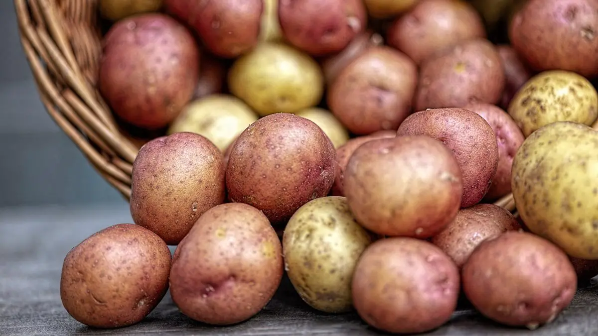 Are Potatoes High in Histamine?