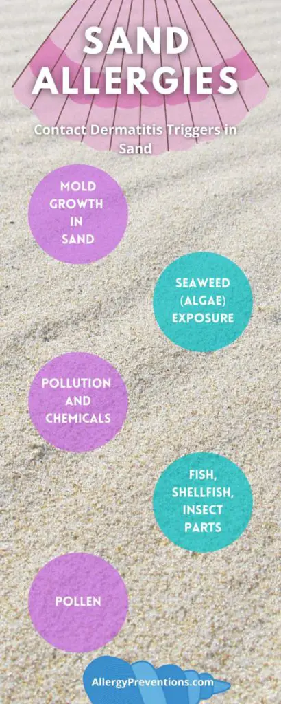 sand allergies infographic. contact dermatitis in sand causes. 1. mold growth in sand 2. seaweed/algae exposure 3. pollution and chemicals 4. fish, shellfish, insect parts 5. pollen 