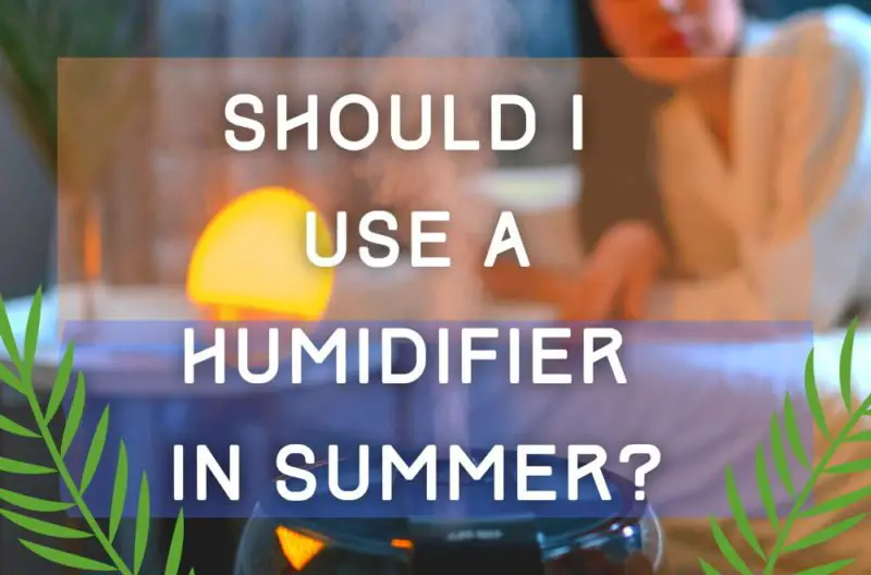 should-i-use-a-humidifier-in-summer