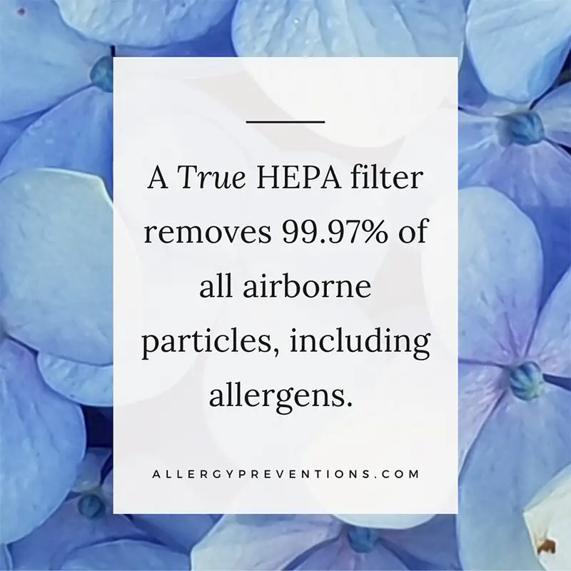 a true hepa filter removes 99.97% of all airborne particles, including allergens