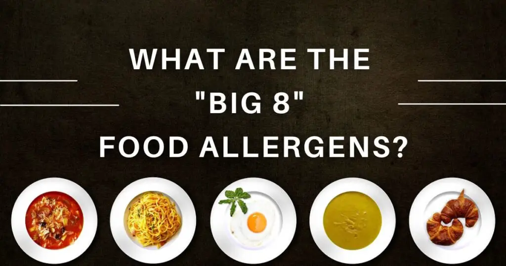 What Are The Big 8 Allergens Allergy Preventions