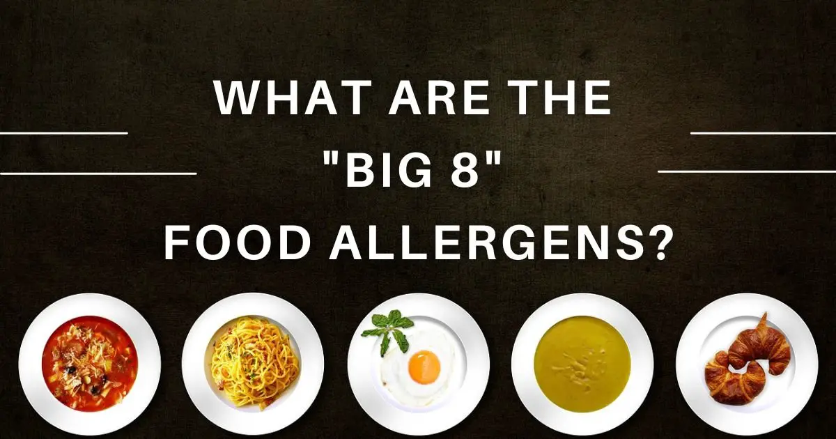 what are the big 8 food allergens title image with 5 different plates of food on the bottom.