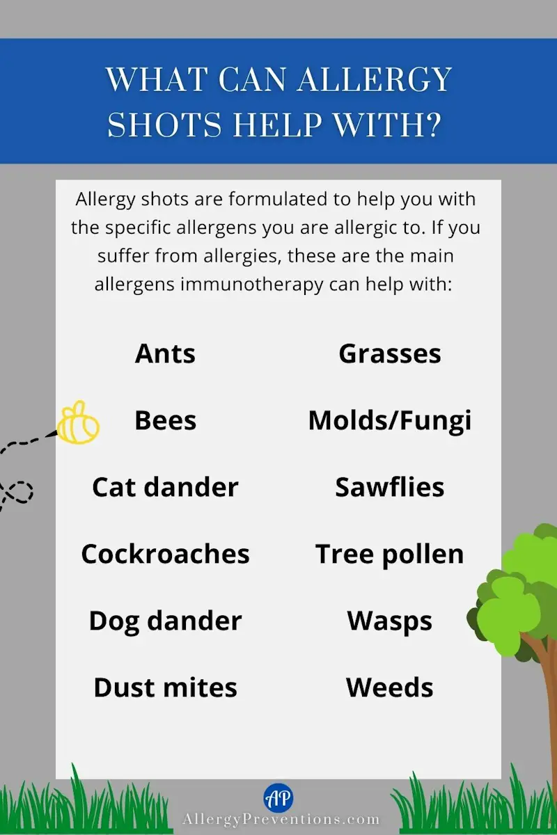 What can allergy shots help with infographic. Allergy shots are formulated to help you with the specific allergens you are allergic to. If you suffer from allergies, these are the main allergens immunotherapy can help with: Ants, bees, cat dander, cockroaches, dog dander, dust mites, grasses, molds/fungi, sawflies, tree pollen, wasps and weeds.