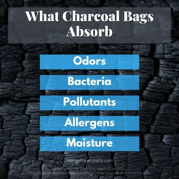 What Charcoal Bags Absorb Odors Bacteria Pollutants (VOCs) Allergens Moisture from the air. learn more about Charcoal Air Purifiers at allergypreventions.com