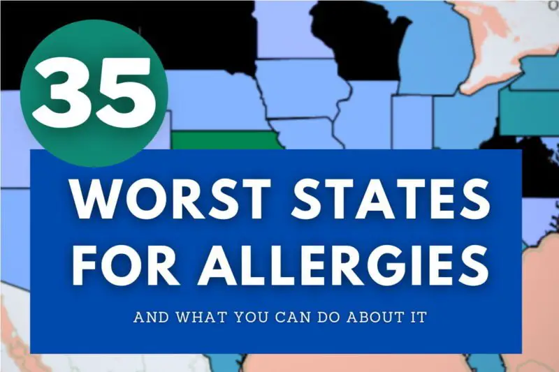 35 worst states for allergies cover